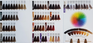 Itely - DelyGlow - Permanent Hair Color / Semi-Permanent Hair Tint - Color Chart