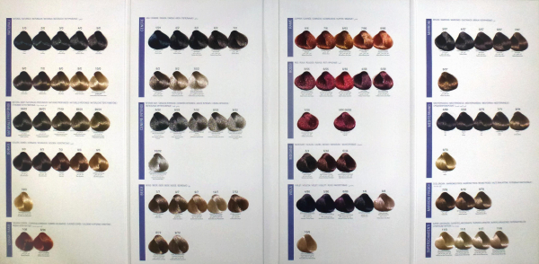 DCM Crema colorante - Color Chart